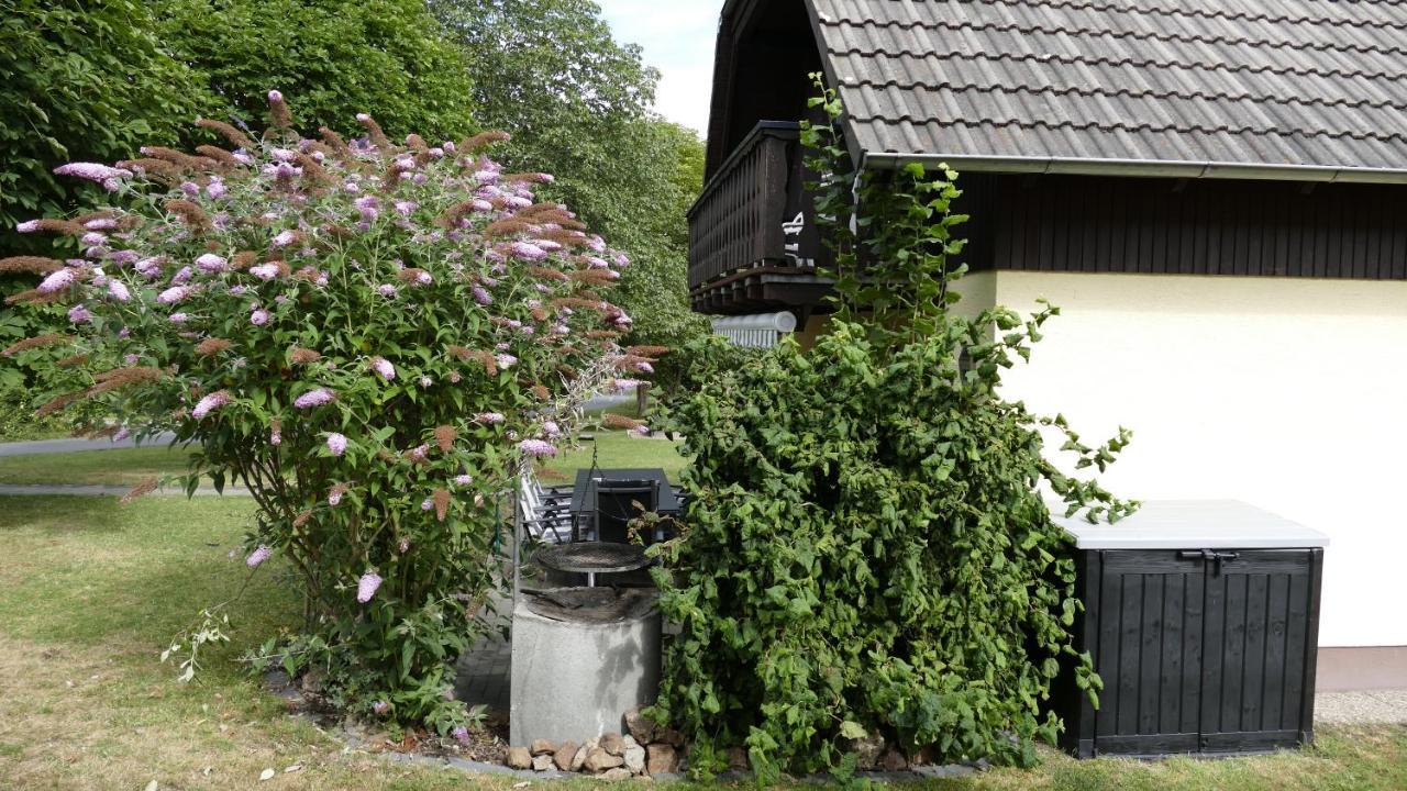 Helles Ferienhaus Im Landhausstil Fuer Bis Zu 10 Personen Frielendorf Εξωτερικό φωτογραφία